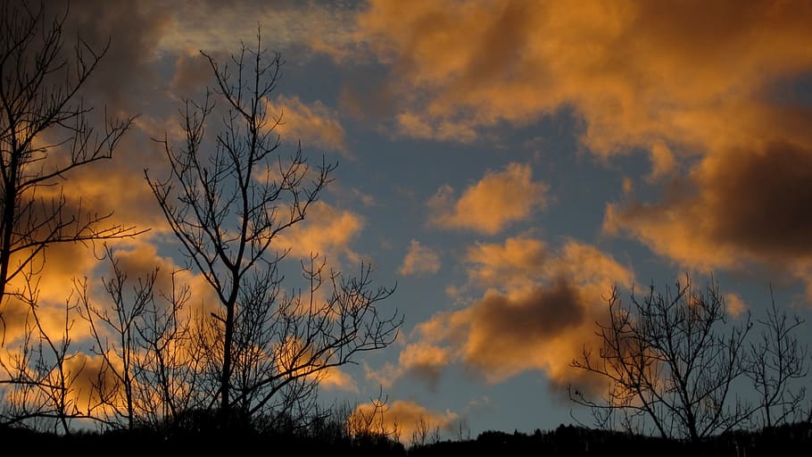 evening, sky, clouds, nature, sunset, blue, yellow, peaceful HD wallpaper