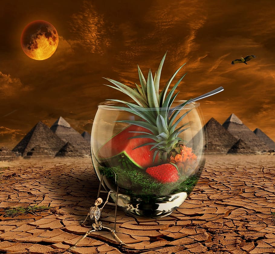 Melon, Pineapple, Fruit, Moon, Desert, dry, pyramid, strawberry, HD wallpaper