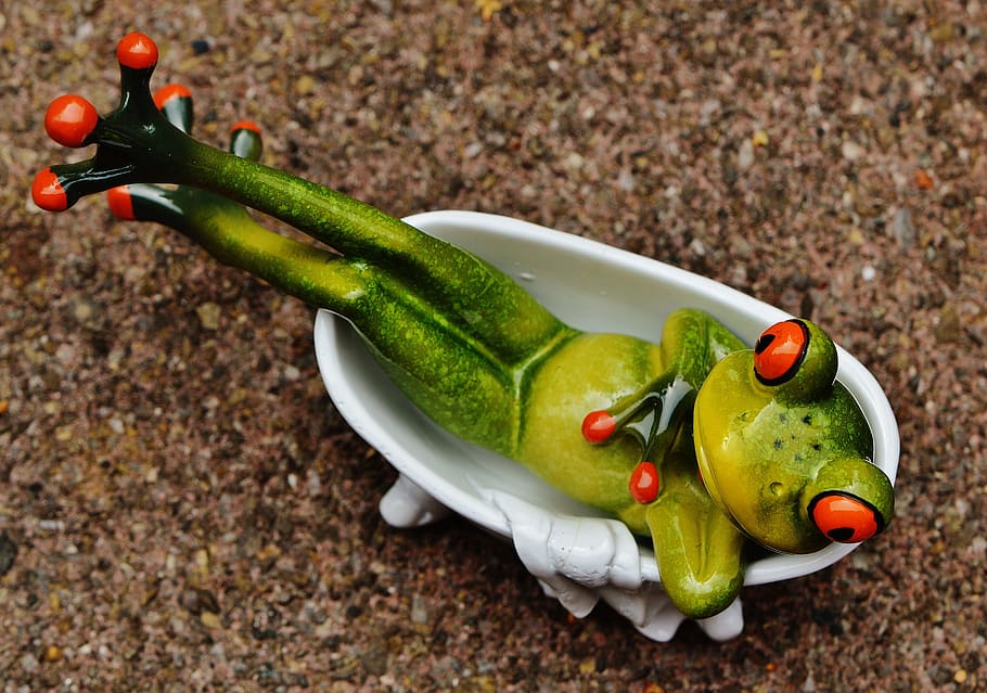 frog, funny, bath, cute, concerns, relaxed, figure, sweet, vegetable HD wallpaper