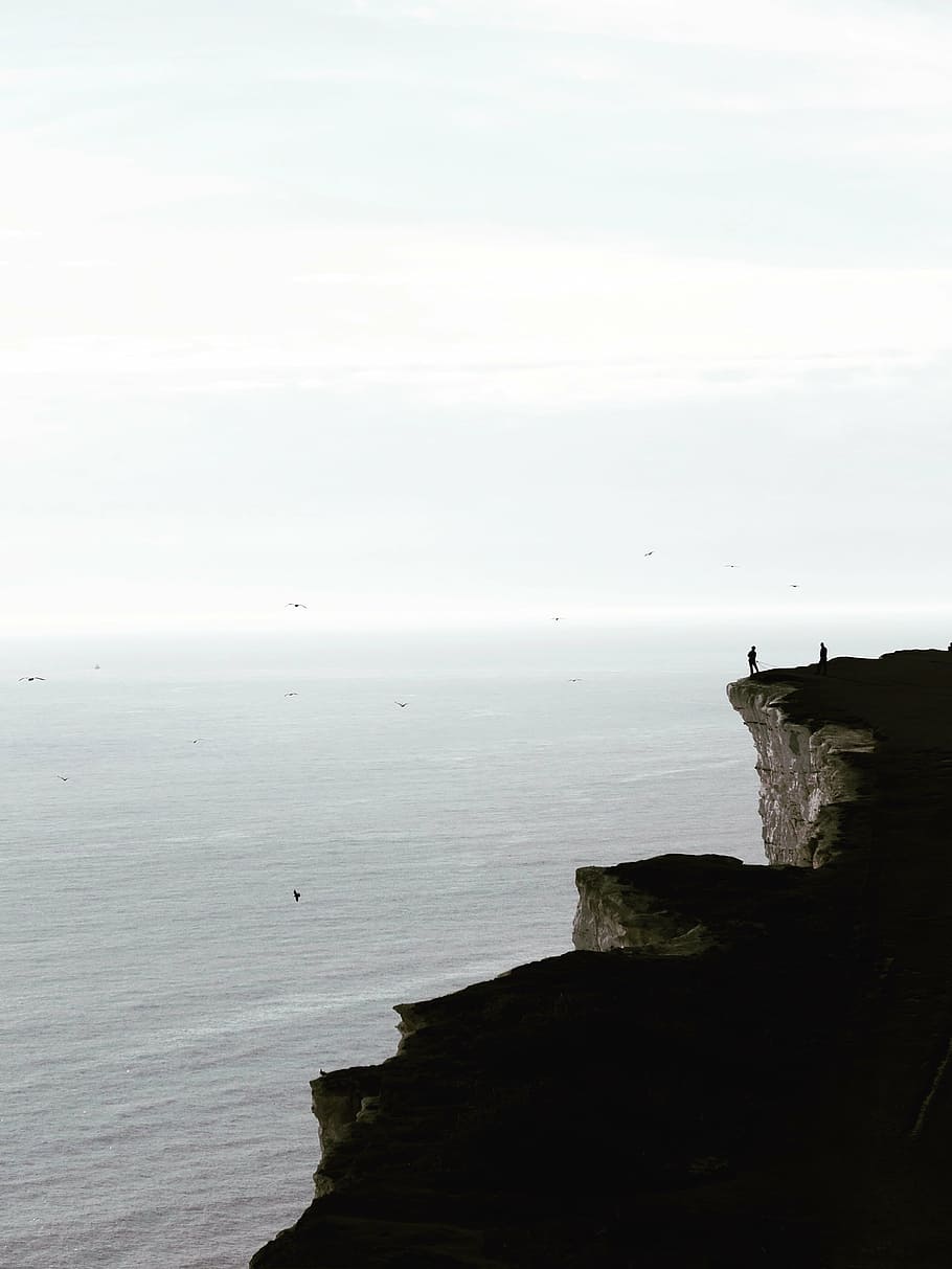 two people near the edge of the cliff near birds flying above the sea HD wallpaper