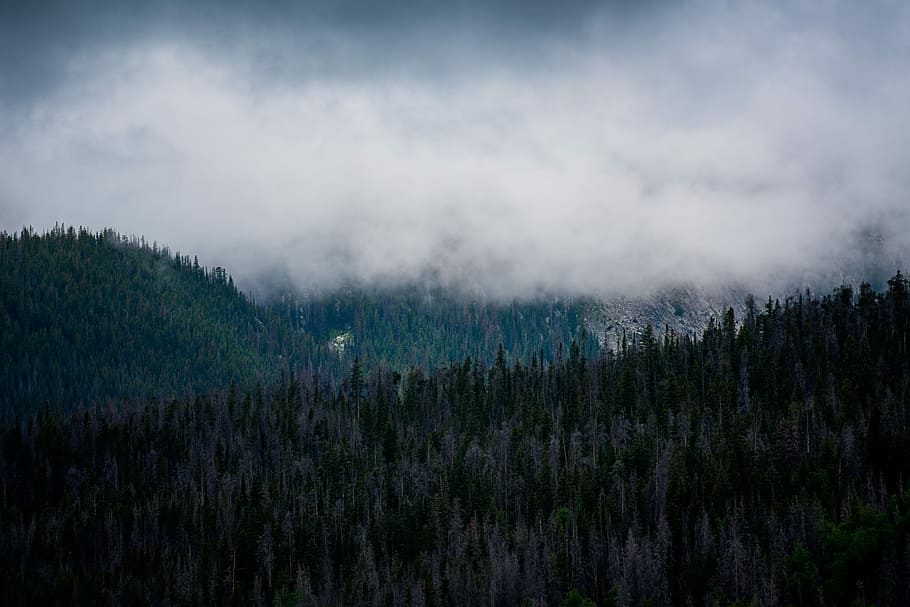mountain under cloudy sky, foggy green mountains during daytime HD wallpaper