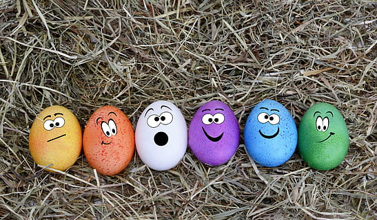 several-color easter eggs, decoration, easter decoration, happy easter HD wallpaper