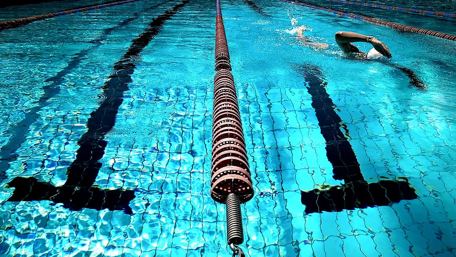 oplympic pool, swimming, water, blue, athlete, fitness, exercise HD wallpaper
