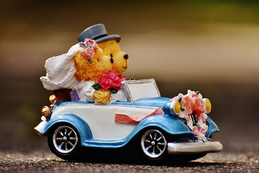 selective focus photography of bride and groom bear riding car figurine HD wallpaper