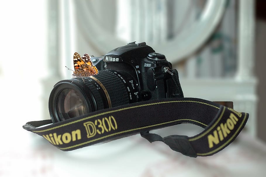 camera, nikon, d300, butterfly, macro, photography, animal, HD wallpaper