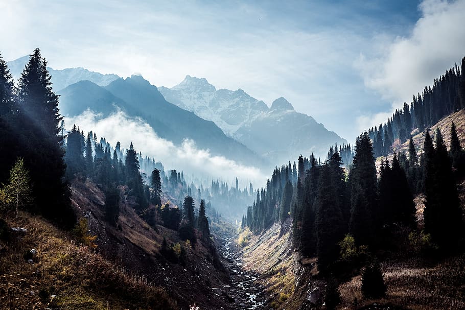 river between mountains with trees at daytime, nature, landscape HD wallpaper