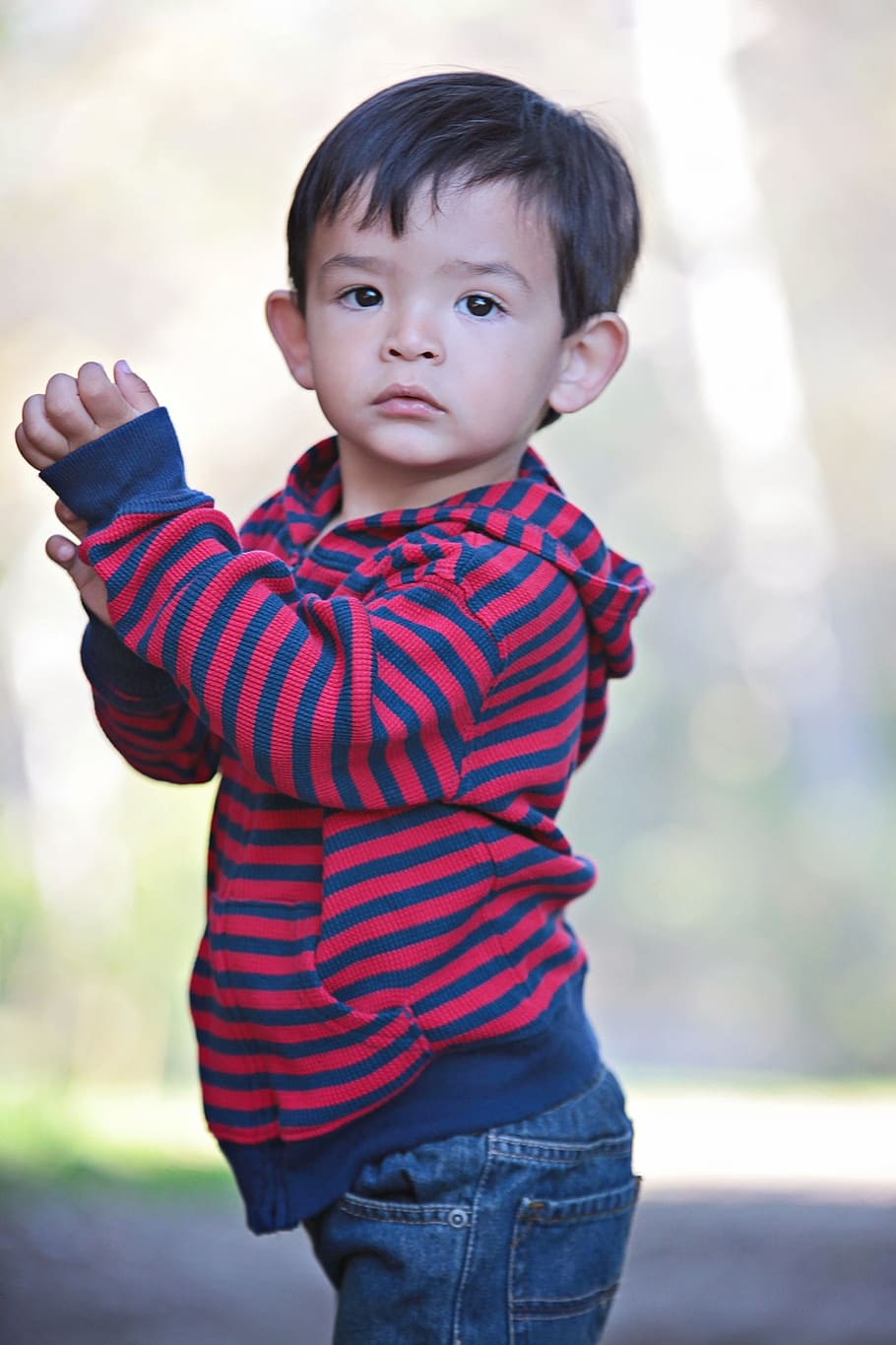 toddler, nicholas b, garcia, childhood, males, men, real people HD wallpaper
