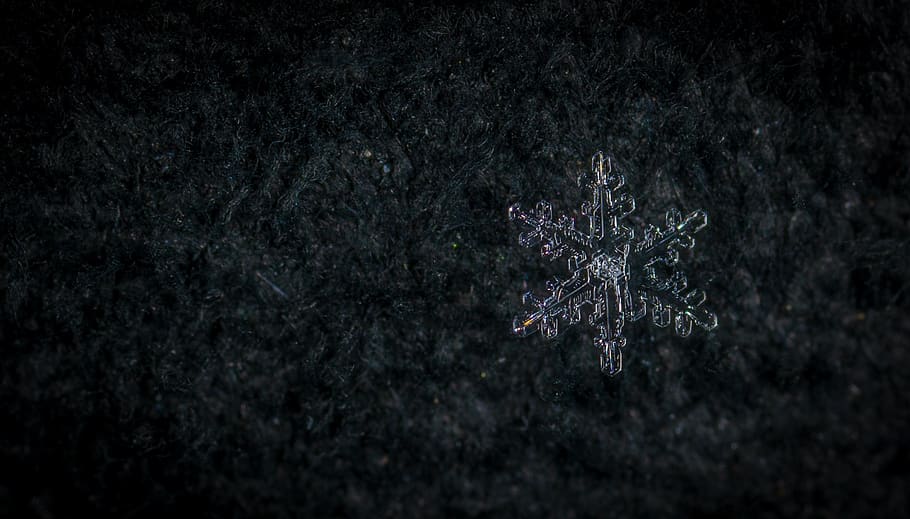 snow, macro, snowflake, winter, nature, cold temperature, no people HD wallpaper