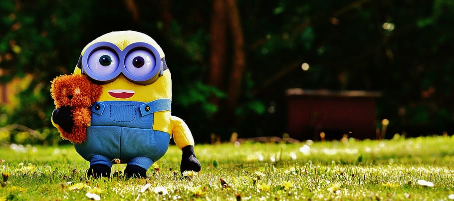 macro photography of minion on grassfield, funny, figure, cute