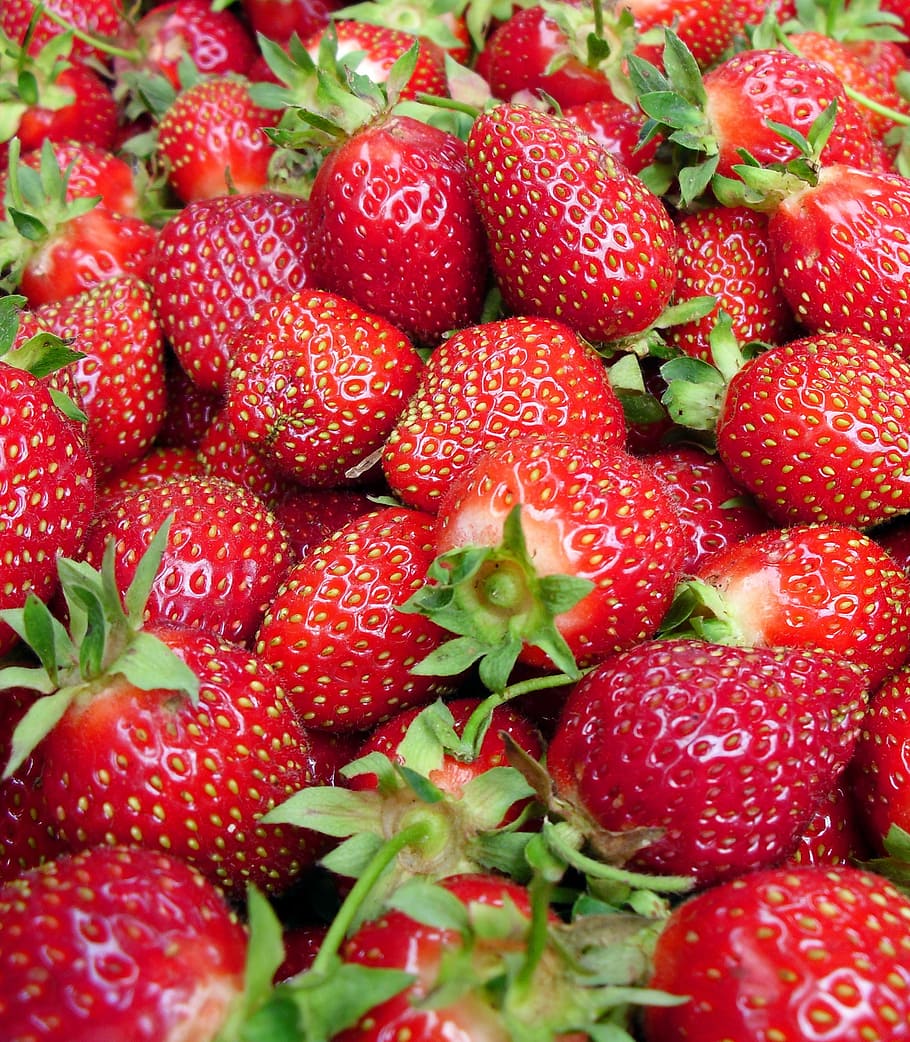 strawberries, red, summer, fruit, fresh, natural, health, breakfast HD wallpaper