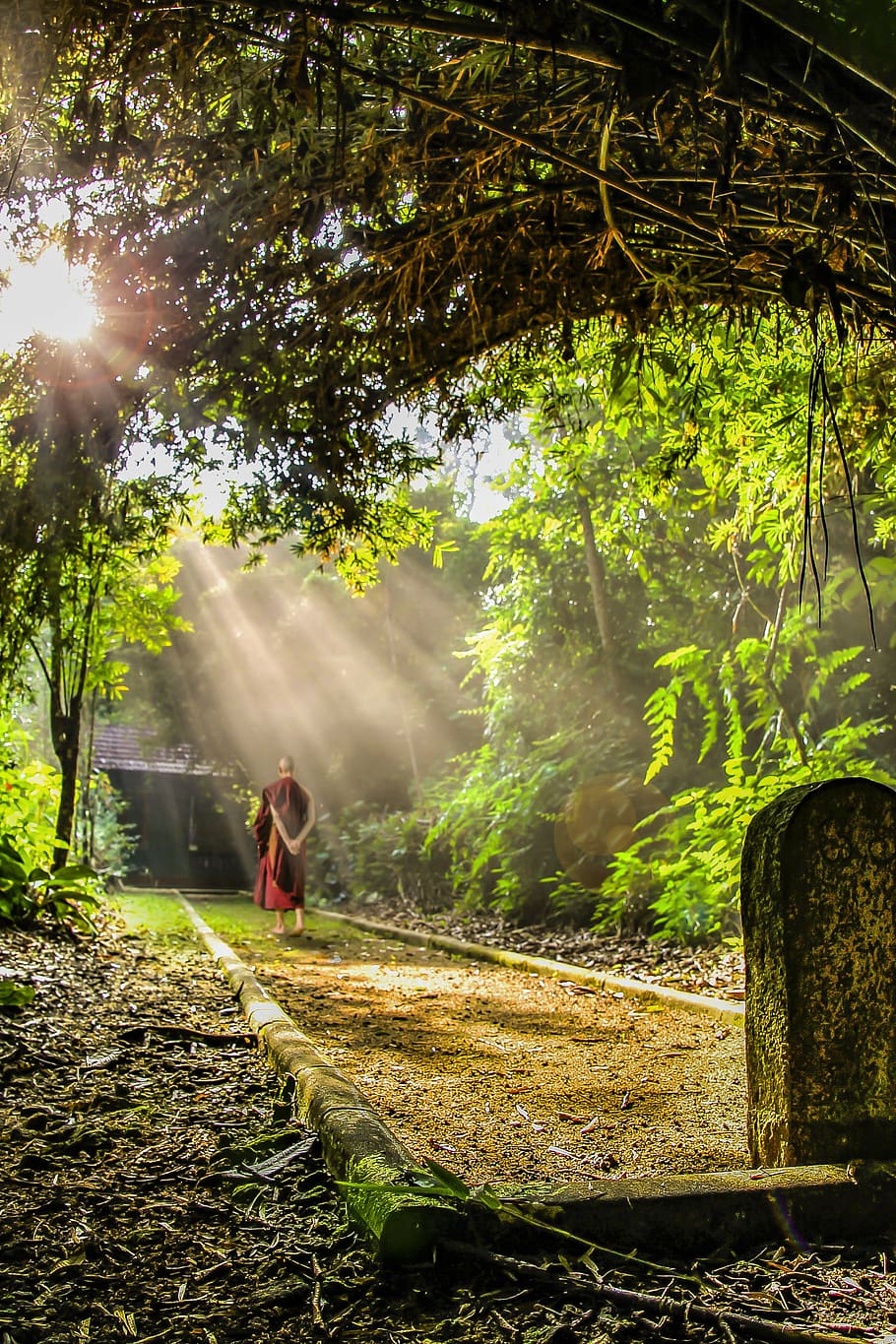 monk near forest, theravada buddhism, walking meditation, buddhist
