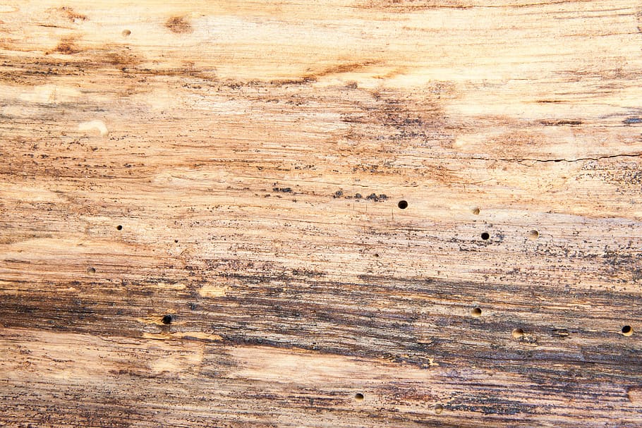 Download wallpapers light wood texture light beech texture beige wooden  background natural materials wood for desktop with resolution 2560x1600  High Quality HD pictures wallpapers