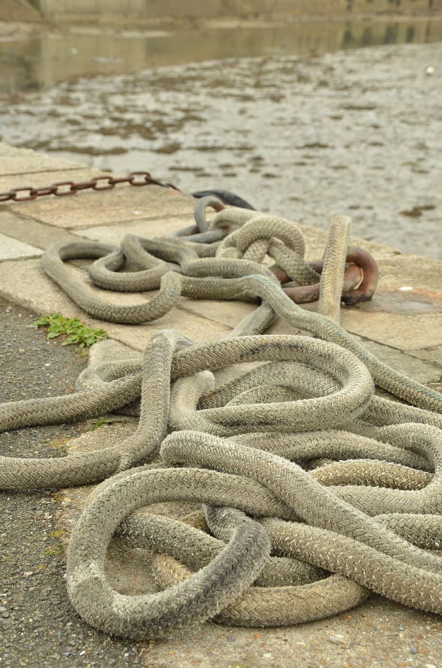 rope, cable, tros, port, quay, water, fixed, loop, knot, boat HD wallpaper