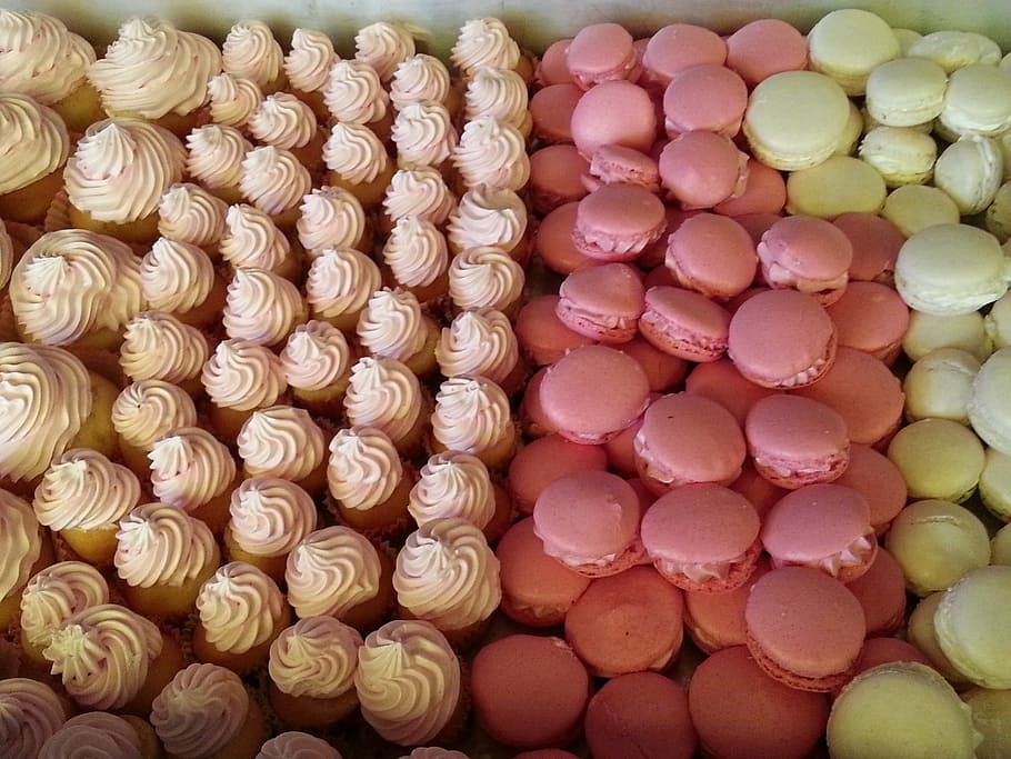 macaron, sweets, pastry, sugar, food, candy, dessert, sweet Food HD wallpaper