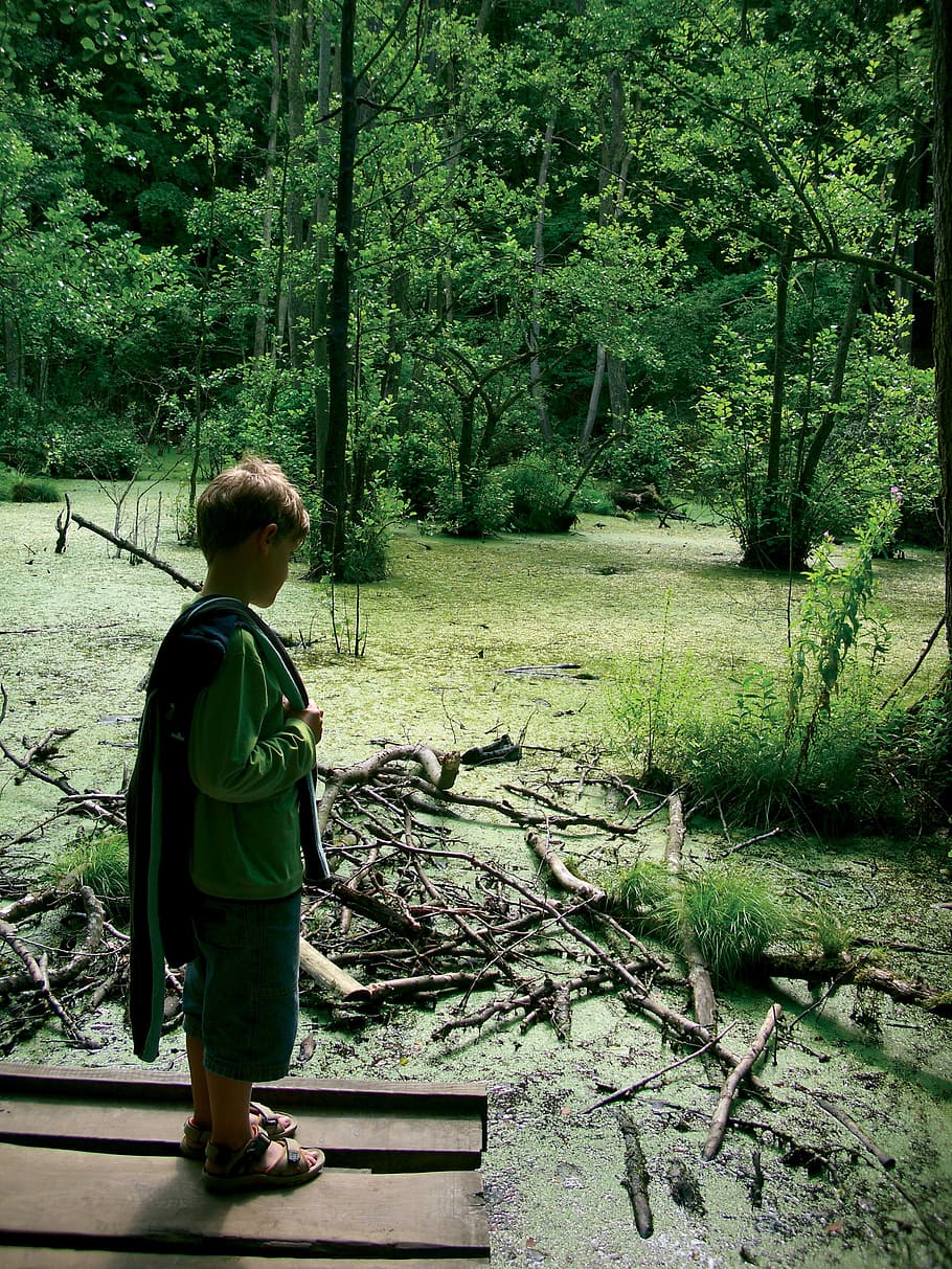 boy standing near twigs, nature, see, child, marvel, forest HD wallpaper