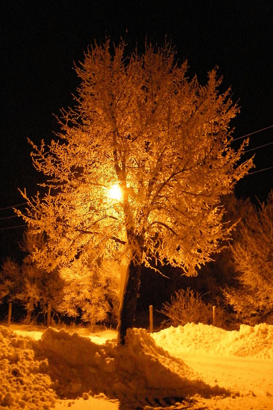Winter, Impressions, Wintry, Snow, Cold, winter impressions HD wallpaper
