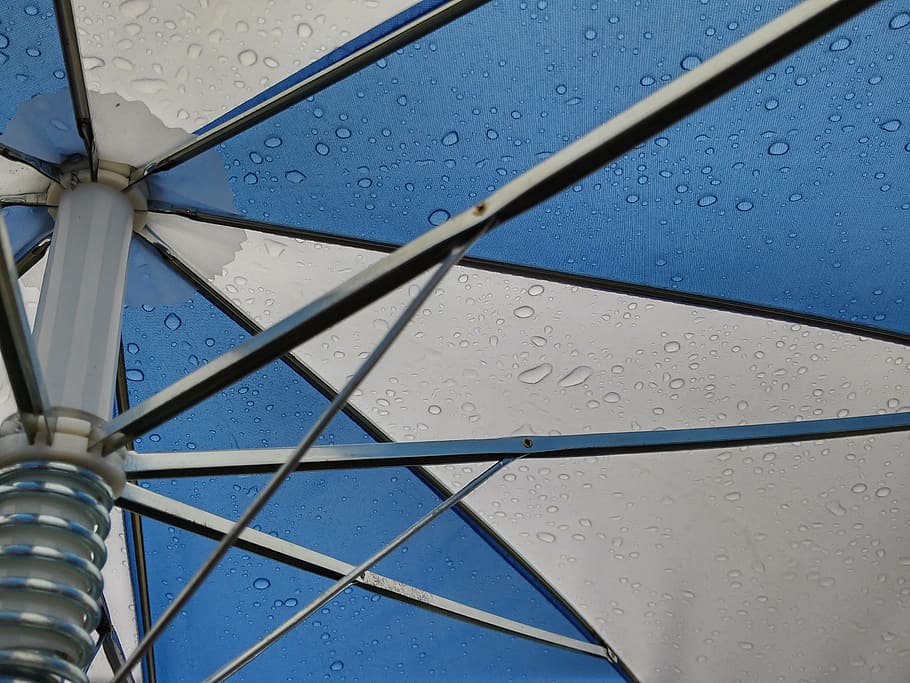 umbrella, drop of water, spokes, drip, rain, transparent, translucent