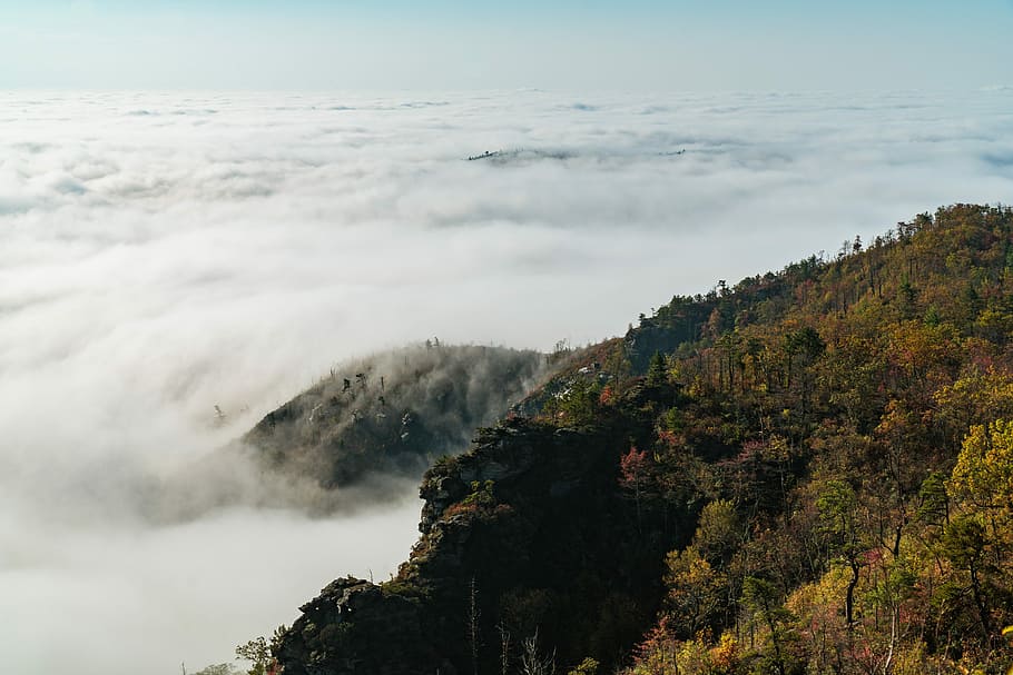 aerial photo of mountain at daytime, autumn, fall, hiking, tree HD wallpaper