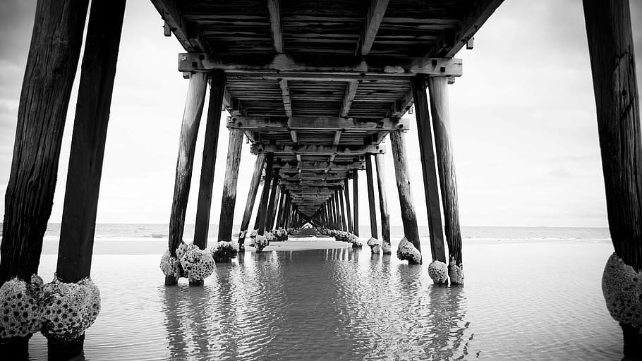 grayscale photo of wooden dock surrounded by body of water HD wallpaper
