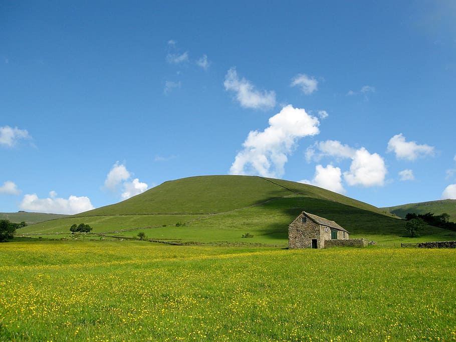 brown concrete house in middle of grassfield under blue and white sunny sky during daytime HD wallpaper