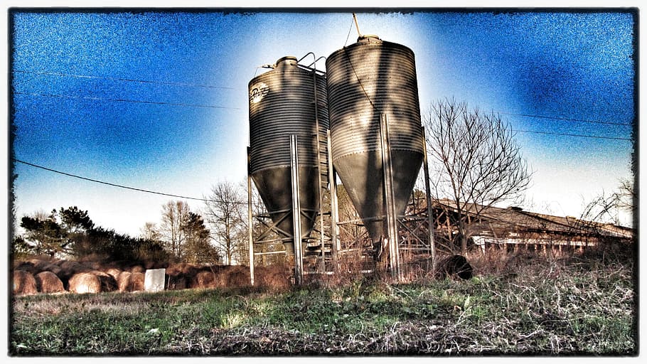 Silos, Farm, Storage, Bins, Tall, agriculture, farming, rural HD wallpaper