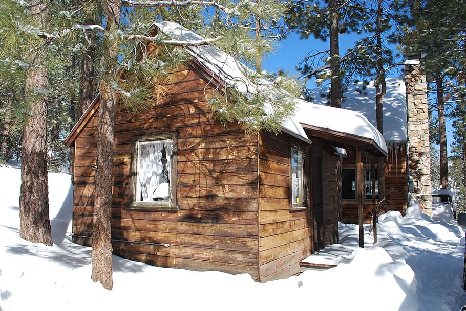 solitude, cabin, forest, tranquil, outdoors, snow, winter, house HD wallpaper
