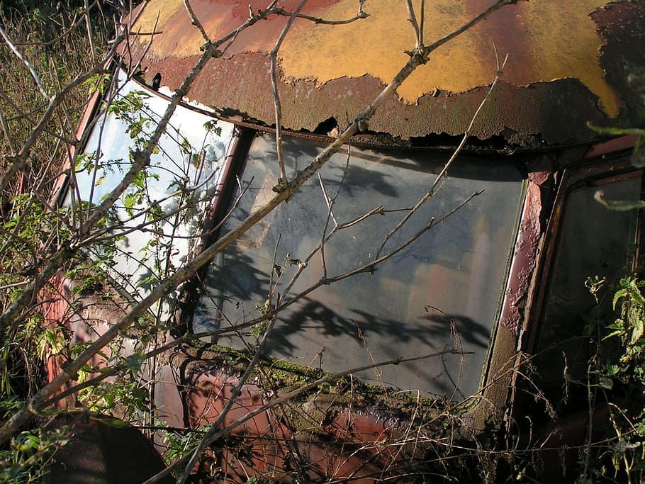 Auto, Old, Scrap, Rusted, Vw, Oldtimer, vehicle, bush, vehicles HD wallpaper