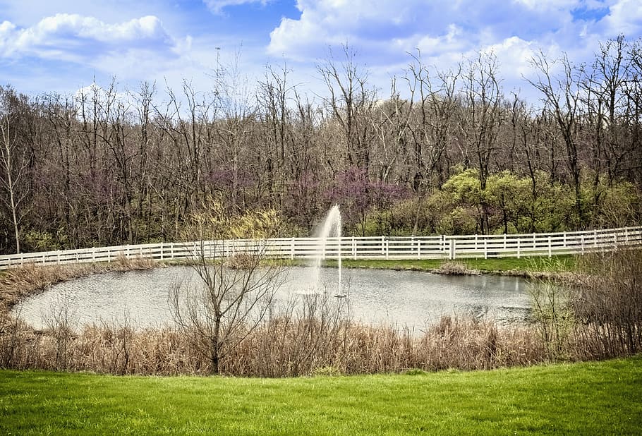 pond, scenery, trees, artistic, art print, digital art, colorful HD wallpaper