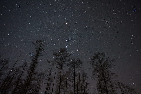 universe, sky, star, space, all, cosmos, header, galaxy, banner HD wallpaper