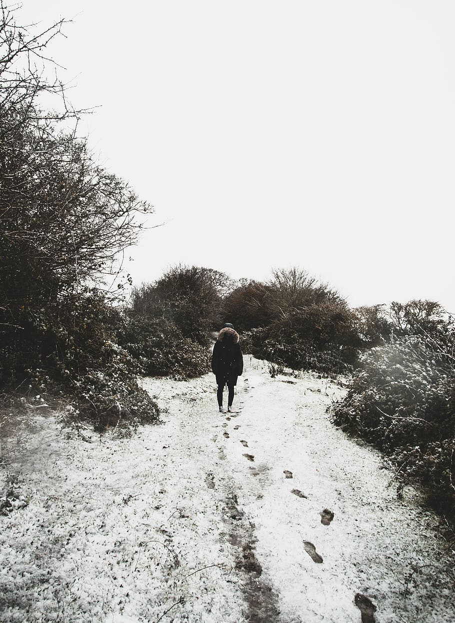 person in black jacket standing beside black tree, person walking on snow covered path under white sky at daytime HD wallpaper