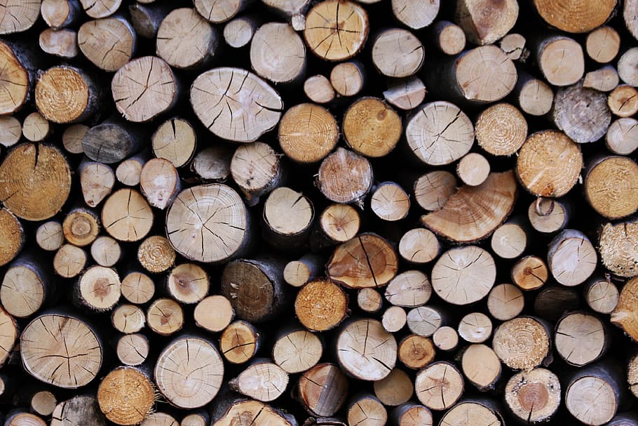 Tree Trunks, Series, Wood, stack, timber, log, woodpile, lumber industry HD wallpaper