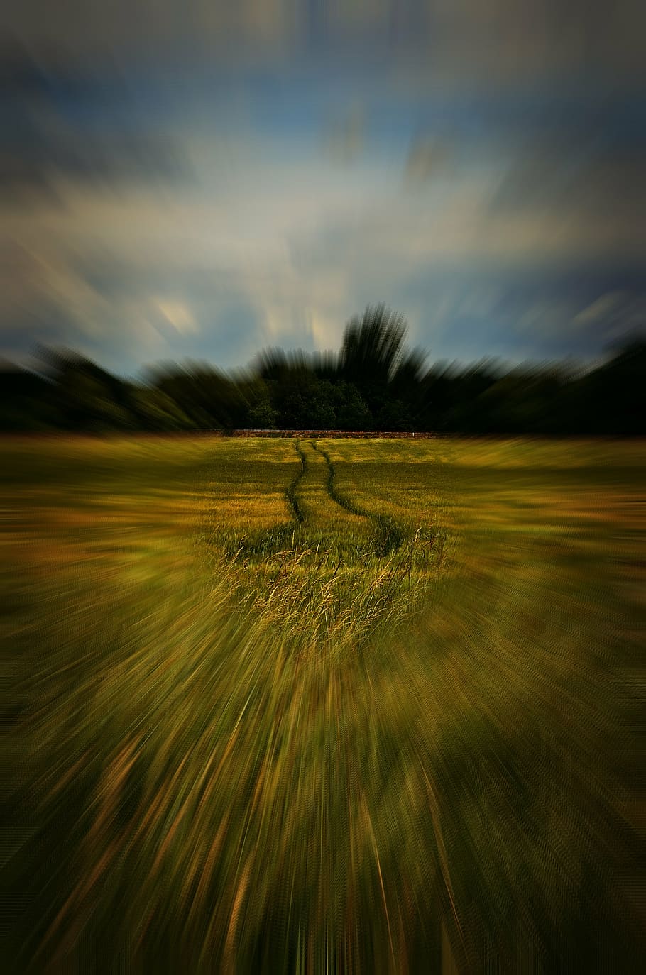 nature, field, path, sky, landscape, plant, blurred motion HD wallpaper
