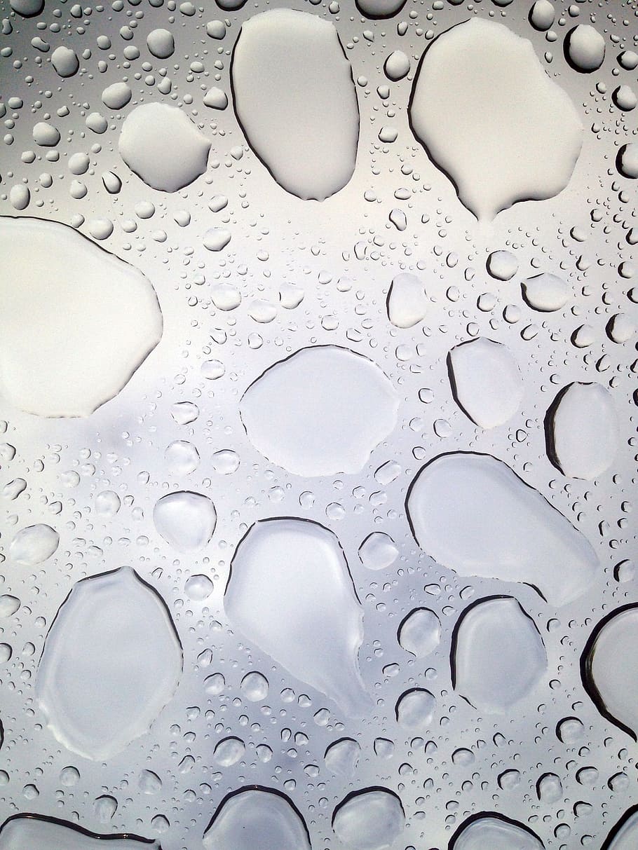 drip, rain, raindrop, water, wet, drop of water, window, drops of rain HD wallpaper