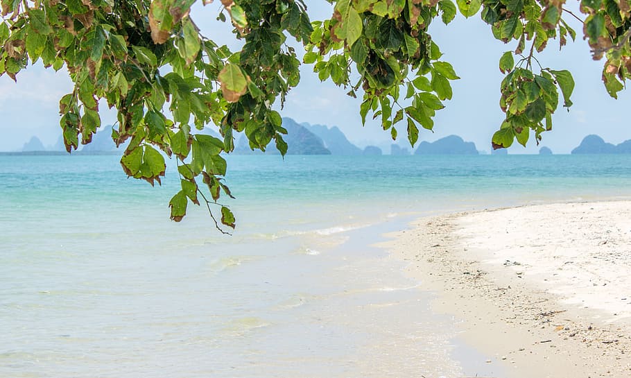 Beach, Rest, Recovery, Sand, Water, Swim, sea, lake, nature HD wallpaper