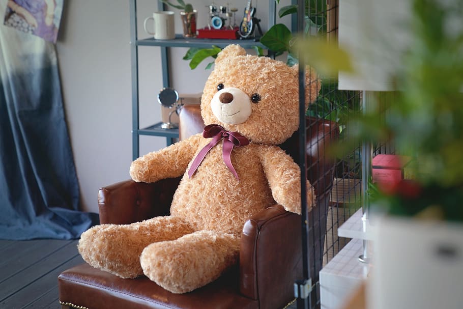 family-toy-toy-bear.jpg