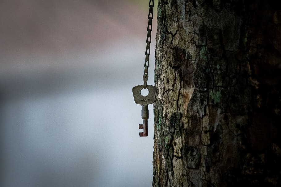 key, bokeh, blur, focus, metal, tree, close-up, no people, tree trunk HD wallpaper