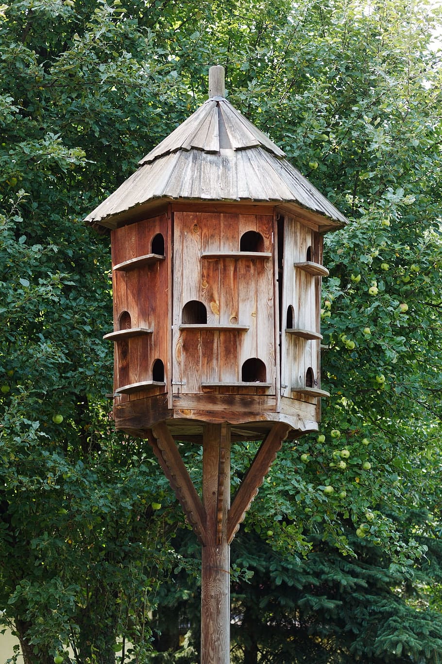 Birdhouse, Box, Brown, Brown, Dove, Dovecot, dovecote, doves, HD wallpaper