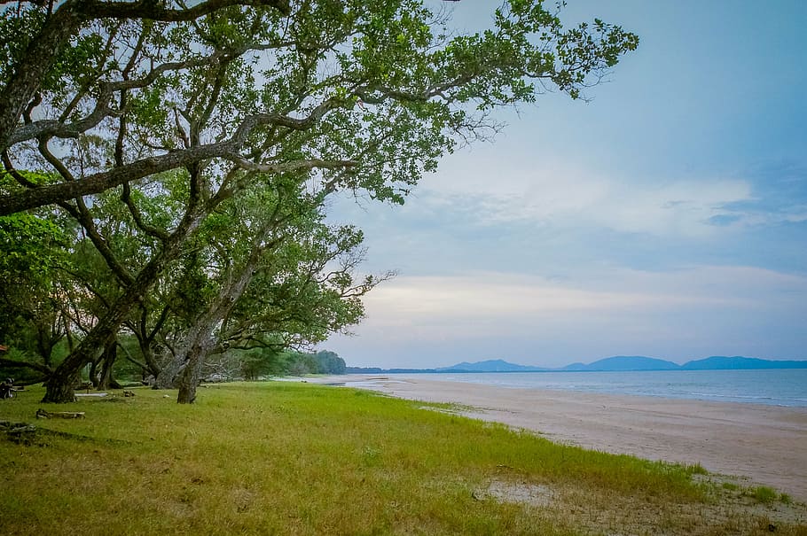 beach, tree, sea, sand, blue, water, island, landscape, vacation HD wallpaper