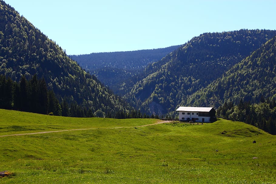 alm, mountain, alpine, austria, hut, panorama, landscape, view HD wallpaper