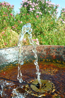 source, water, jet, supplier, casting, oxide, flowers, shrubs HD wallpaper
