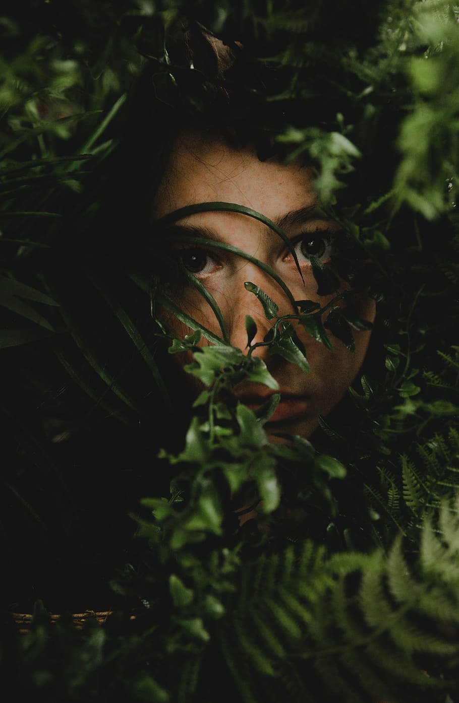 woman face inside of grass field, woman hiding on green leafed plant