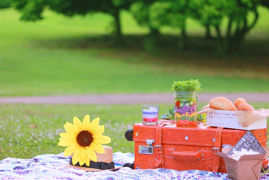 picnic at park during daytime, summer, outdoors, nature, food HD wallpaper