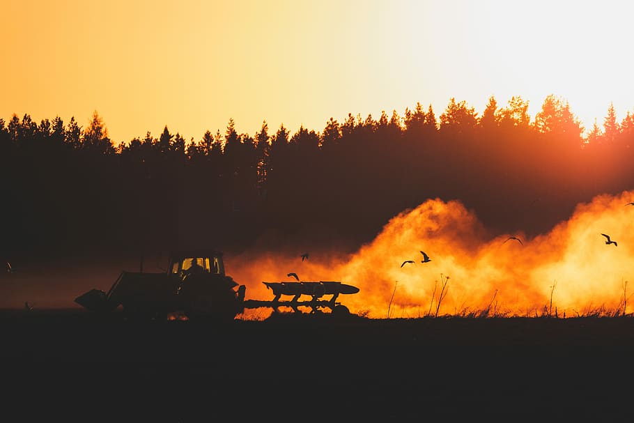 Farmer working during sunset, silhouette of tractor near trees HD wallpaper