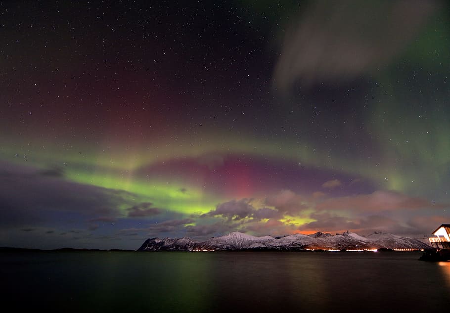 Northern Light, Norway, Arctic, Borealis, green, winter, landscape, HD wallpaper
