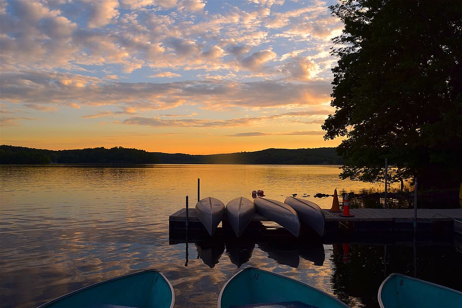canoes, sunset, lake, tree, water, reflection, nature, landscape HD wallpaper