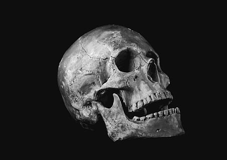 grayscale photo of human skull, helplessness, bone, scull, human Bone HD wallpaper