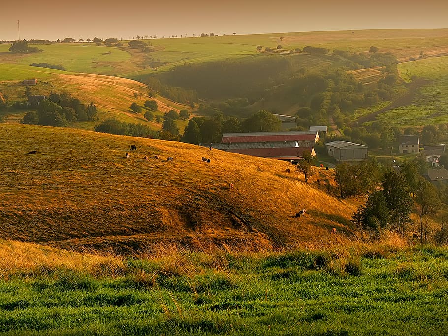 moldava, landscape, summer, valley, peace, meadow, hill, rural Scene
