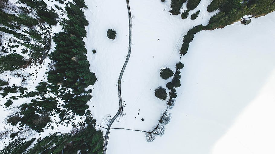 aerial photography of snowy field, aerial view of trees and snow HD wallpaper