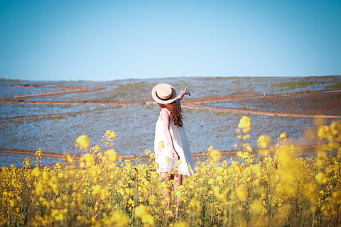 landscape photography of woman wearing sun hat on floral field HD wallpaper