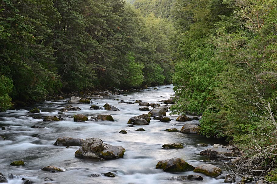 view of flowing river, estela, water, forest, nature, rocks HD wallpaper
